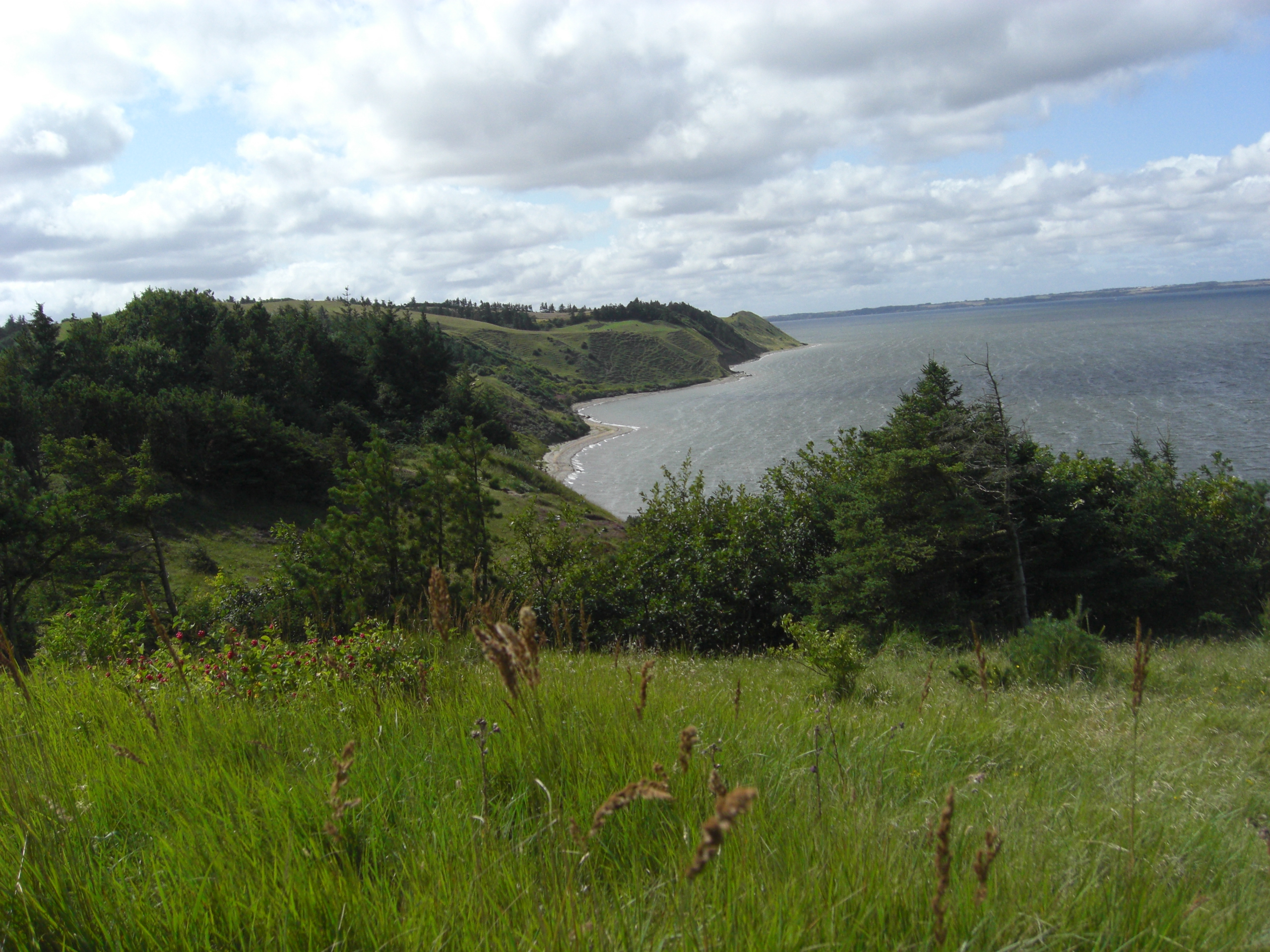 Steilküste von Morsø, Dänemark, 2009